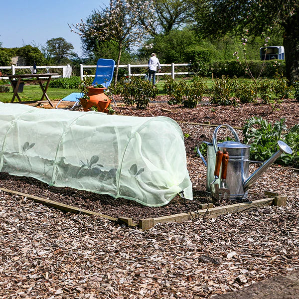 growing fruit in a growing tunnel