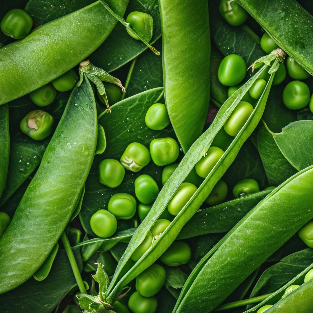 peas in pods