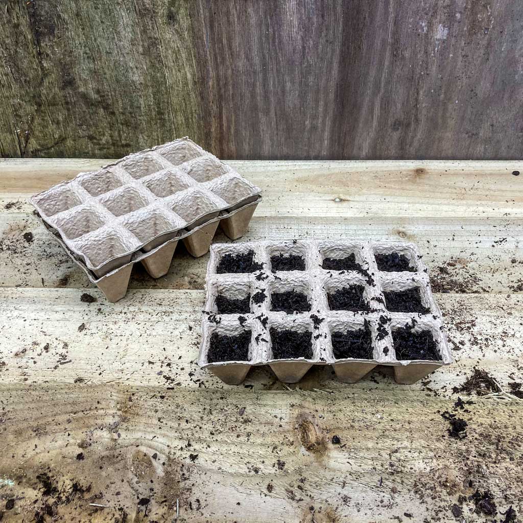 Peat Free Pot Strips