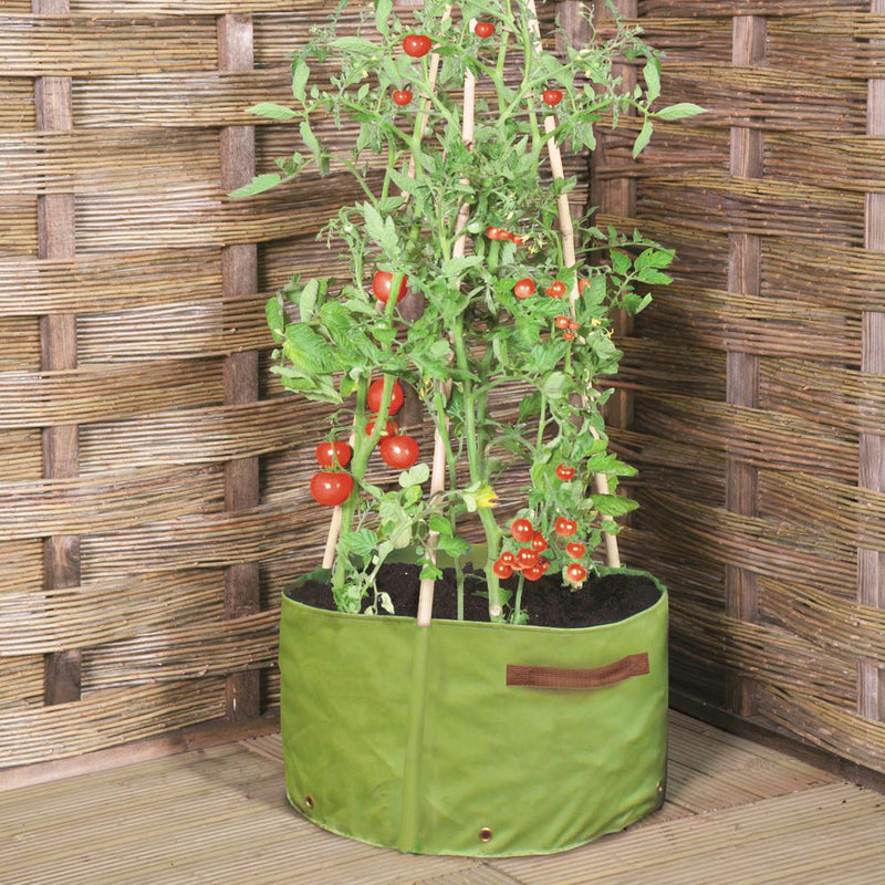 Tomato Patio Planters (x2) | Knowle Nets