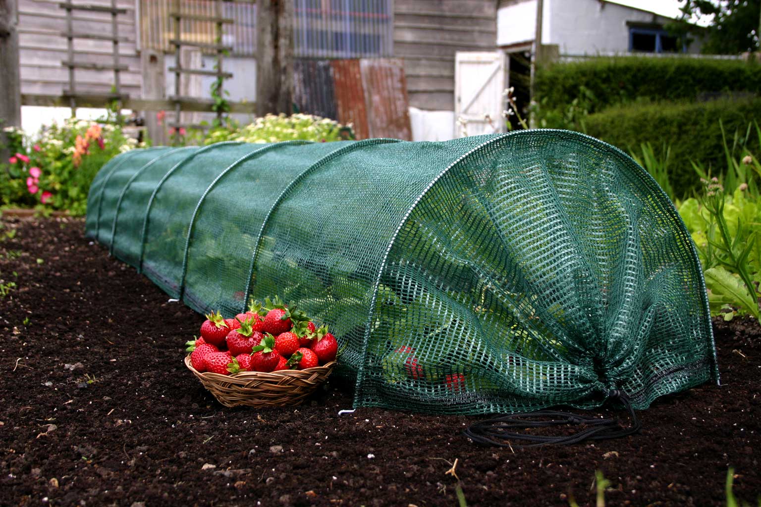 Fruit Cages I Garden Netting I Pest Control Netting – Knowle Nets